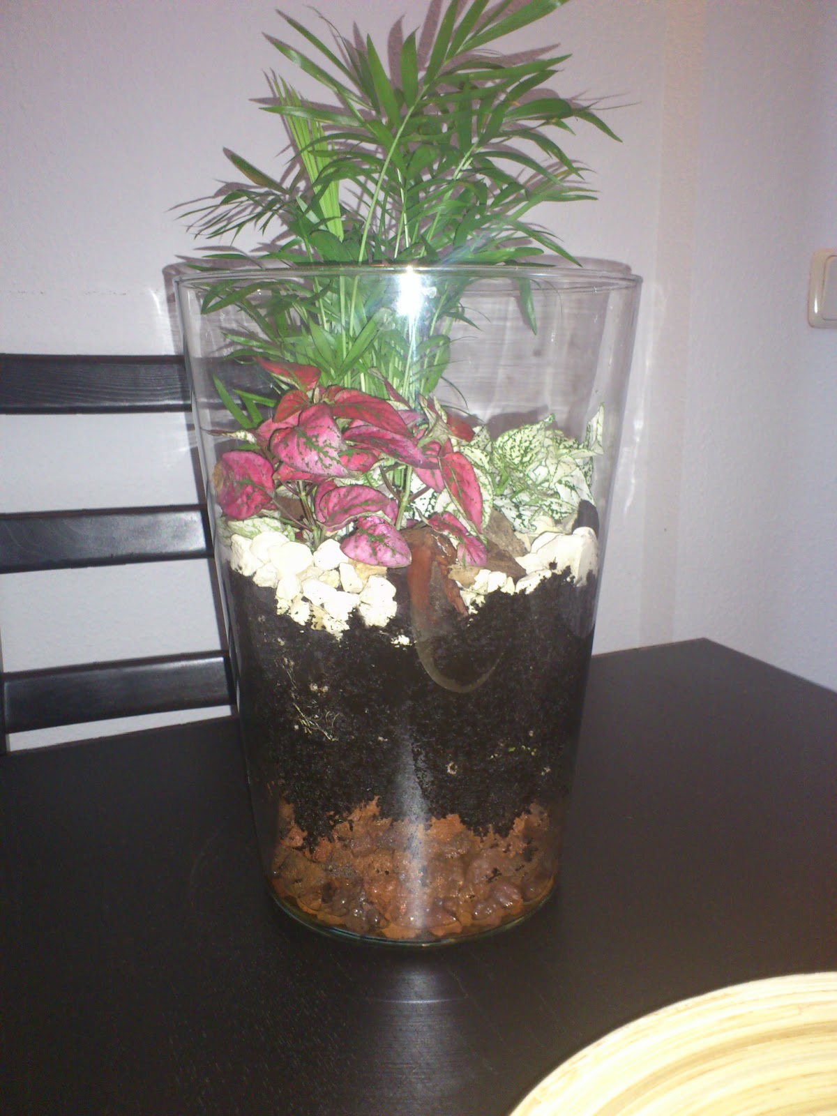 Xakupaku Terrarium en jarron Bladet de ikea