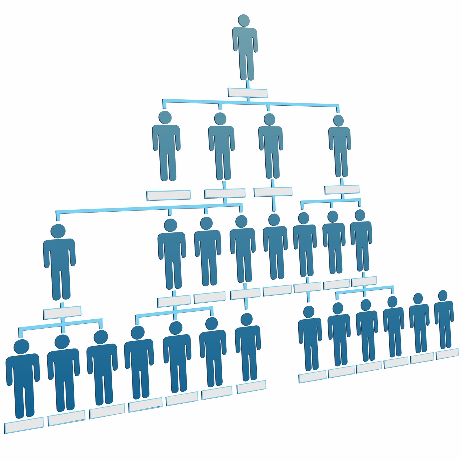 Forex network marketing