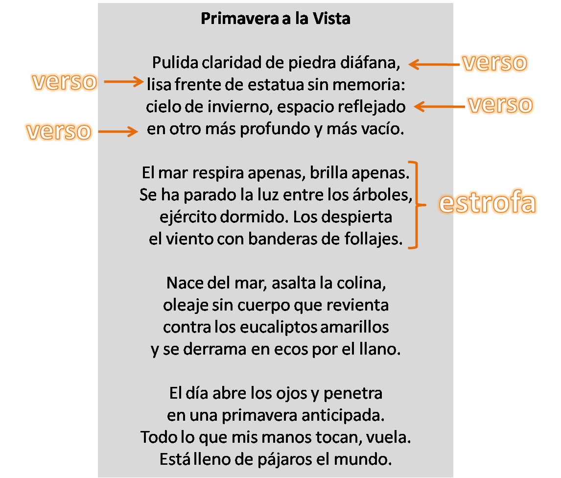 poemas de 4 versos poemas de 4 versos