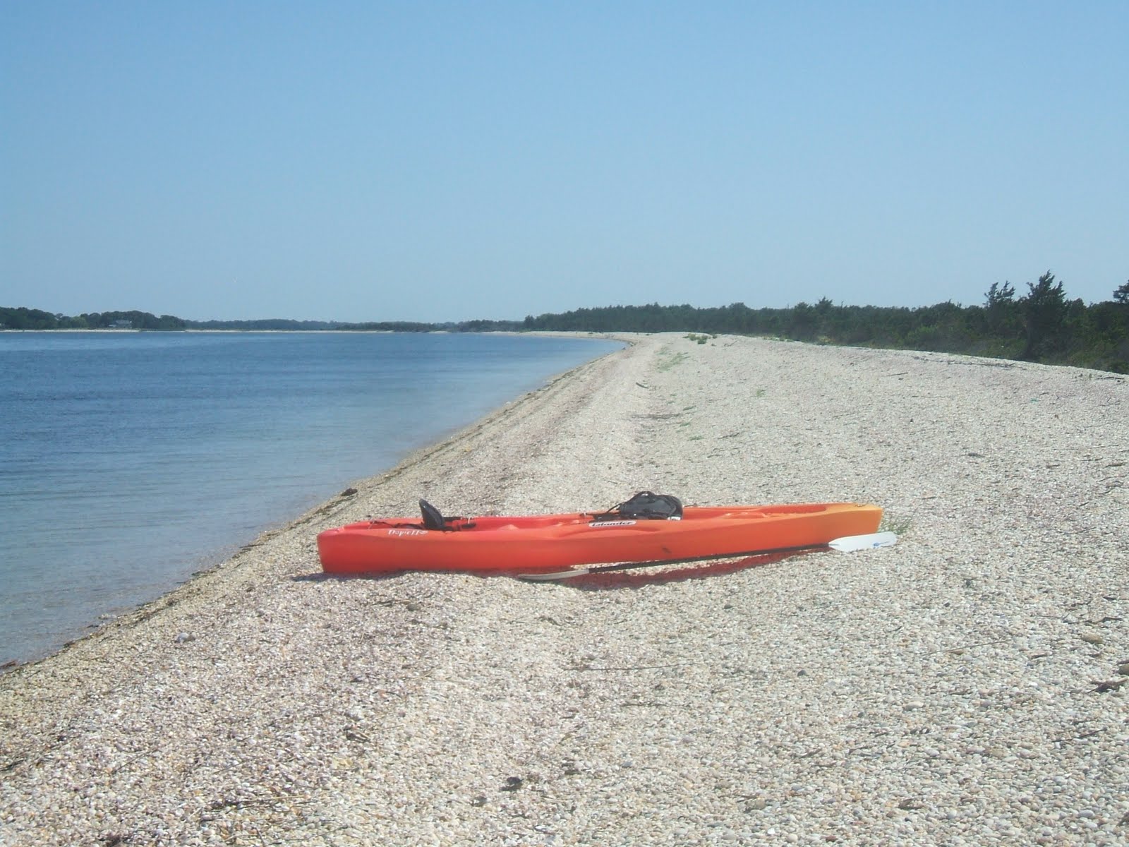 LAZY W Long Island's Fishtail