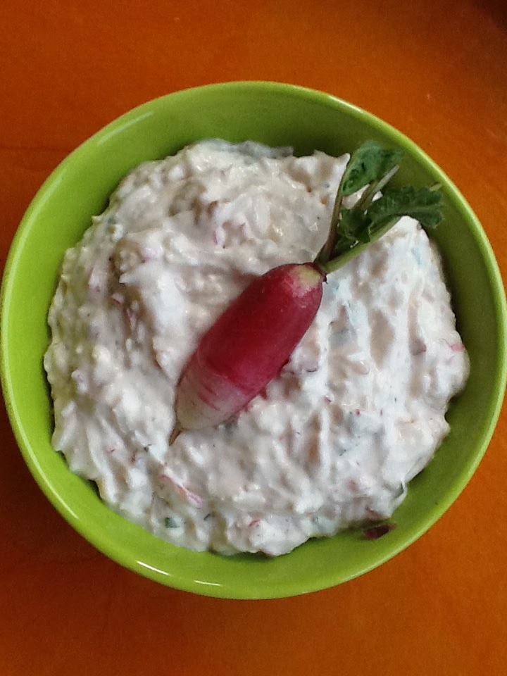 Silver Lake Farms Grated Radish Party Dip