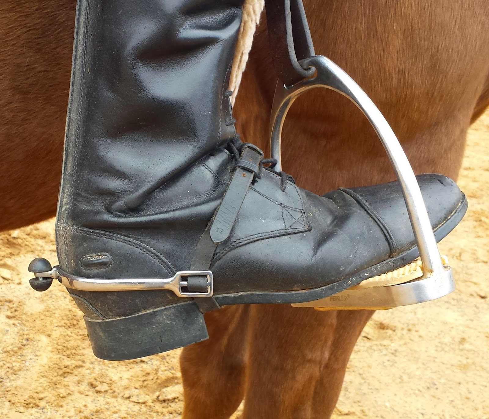 Amanda Garner Reins and Sticks and Spurs...Oh My!