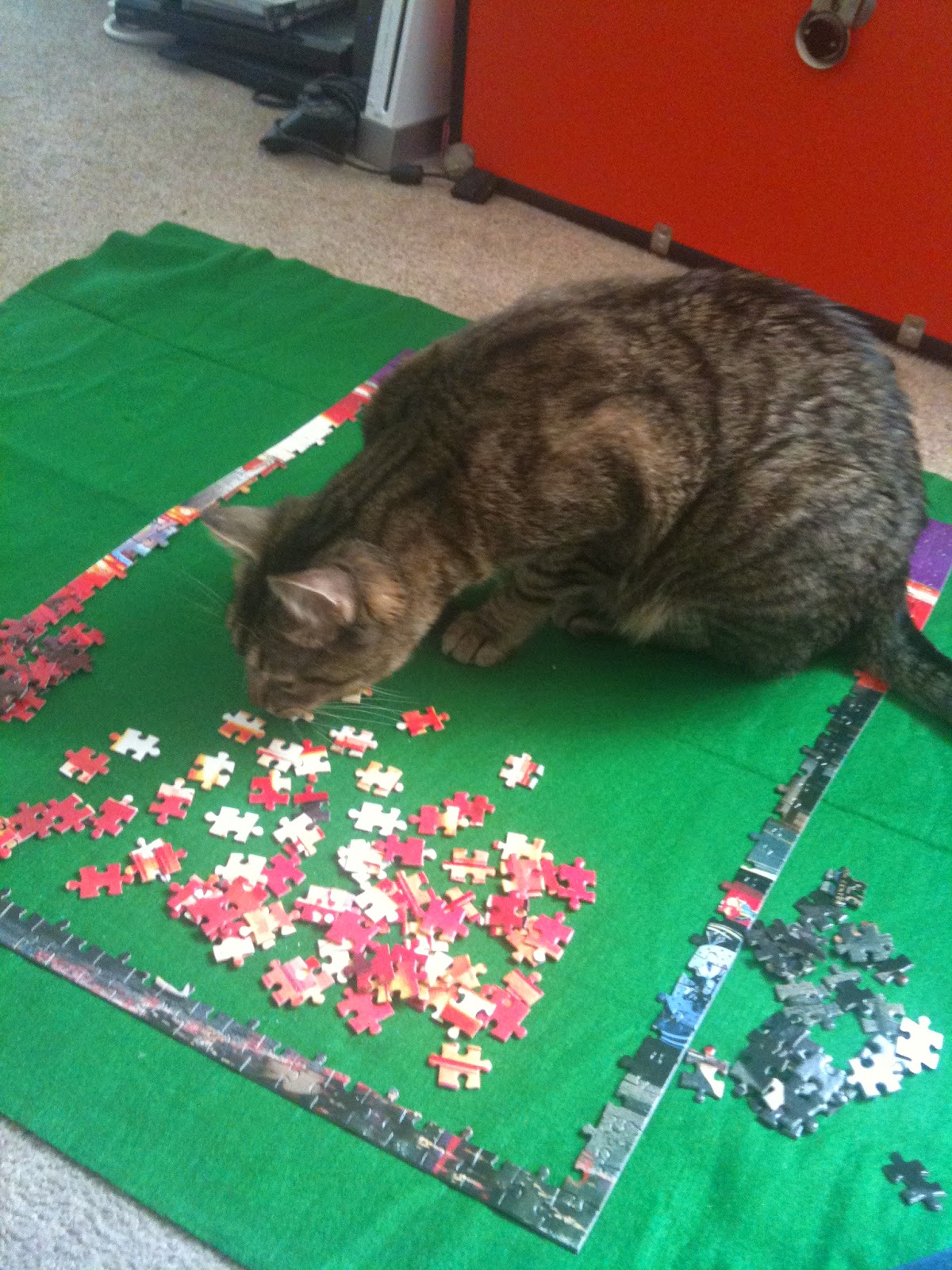 cat puzzle cat puzzle