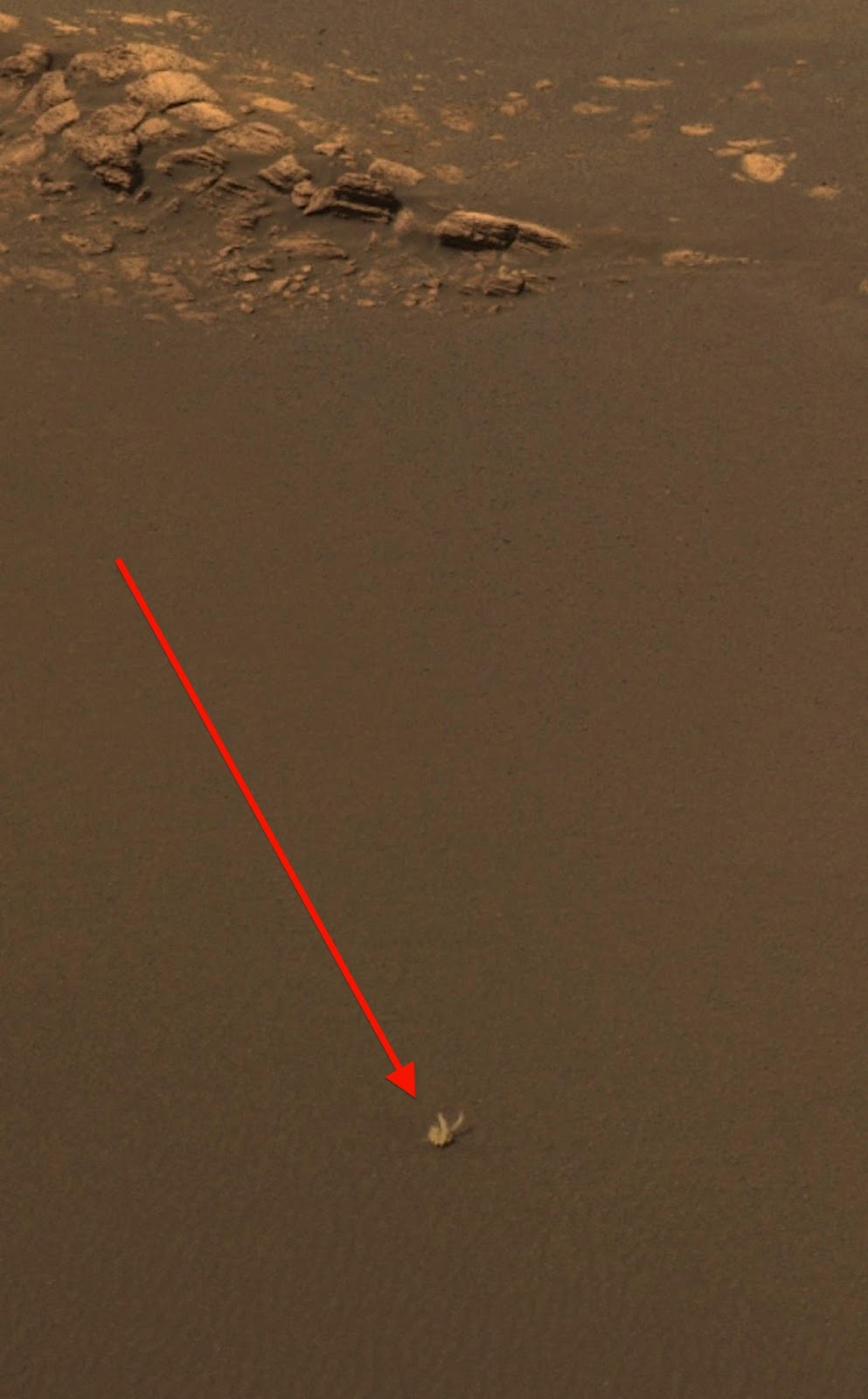 alien life discovered