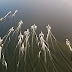 Balbina: Imagens fantásticas do V Circuito de Pesca do Amazonas