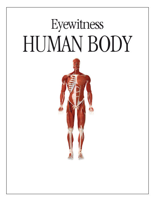 Anatomy Of Human Body Pdf - noblerutracker