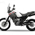 YAMAHA XT660Z TENERE MOTOSİKLET