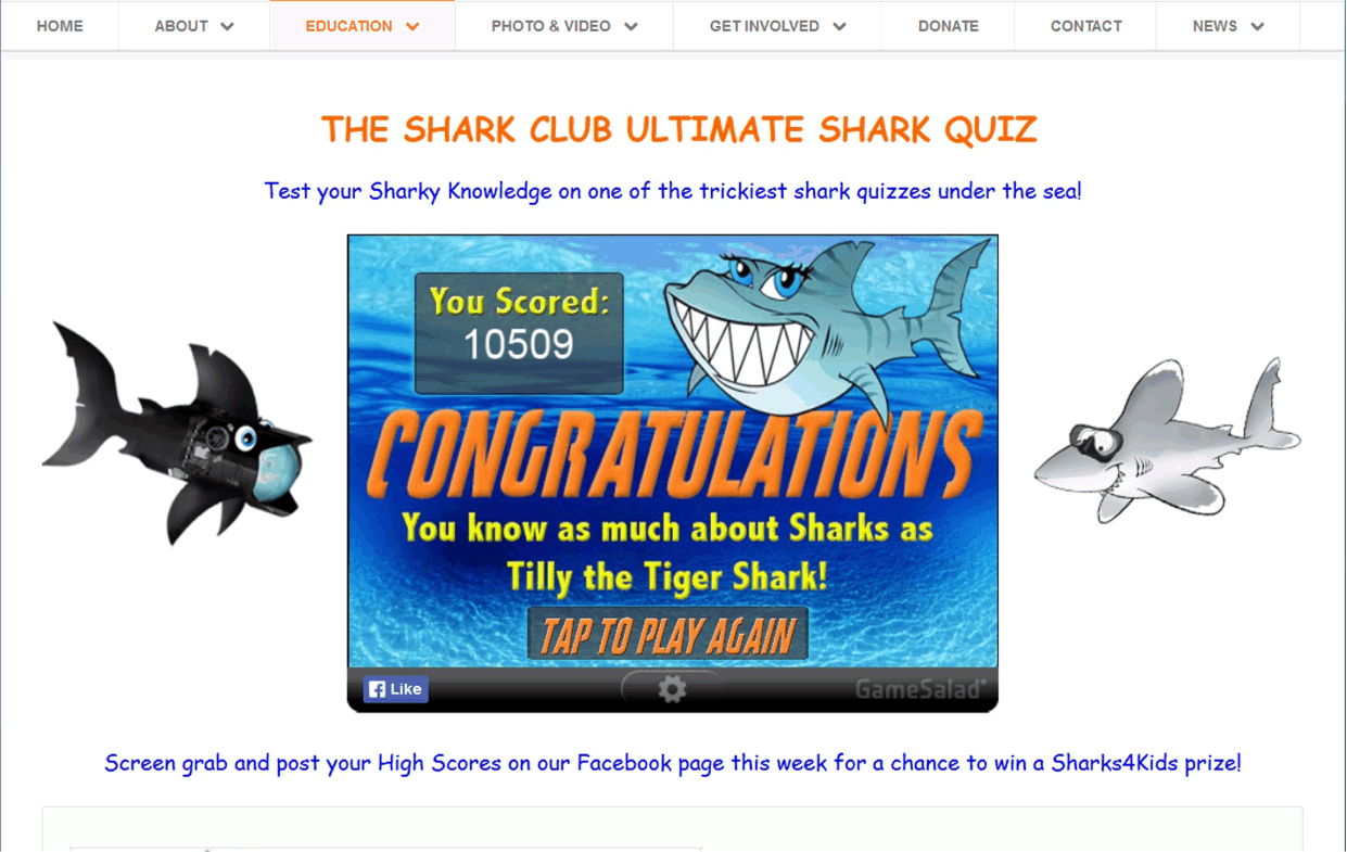 The Best Shark Dive in the World! Ultimate Shark Quiz!