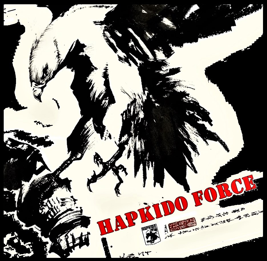 Hapkido Force Argentina