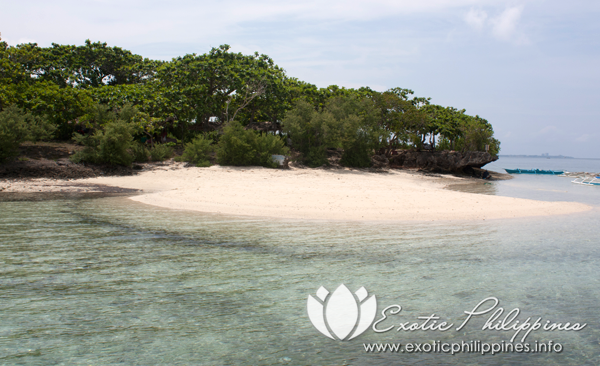 Island Hopping in Mactan
