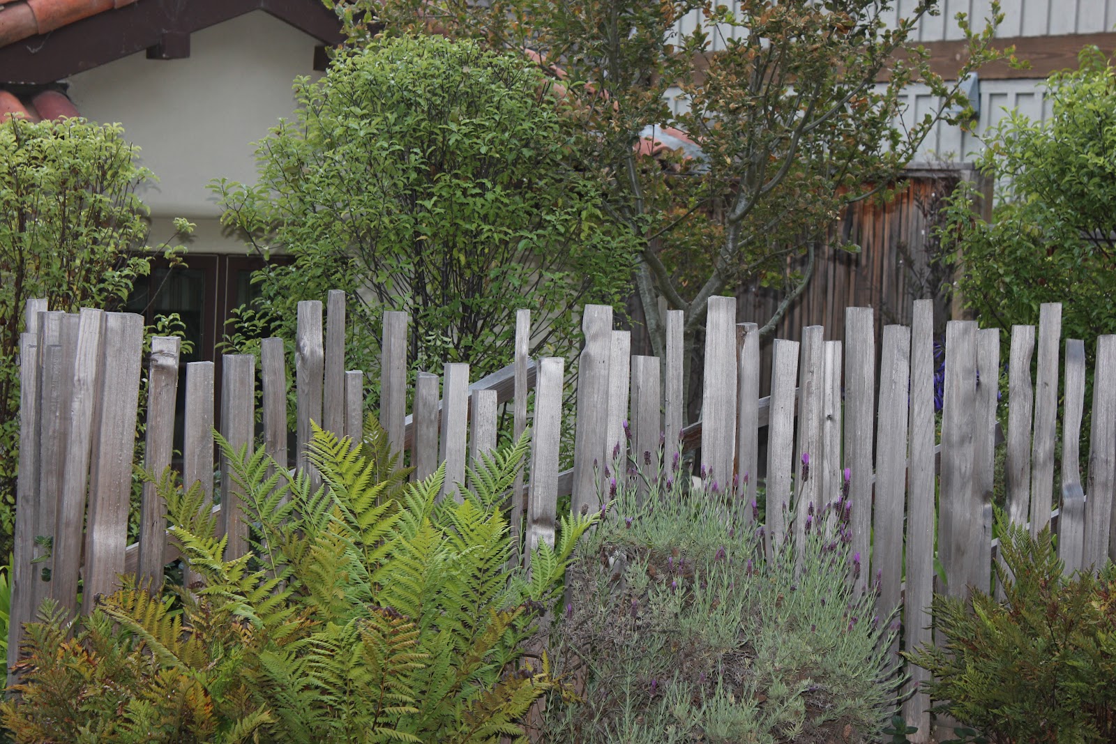 European Farmhouse Charm The Beautiful Patina of 80 year old Grape