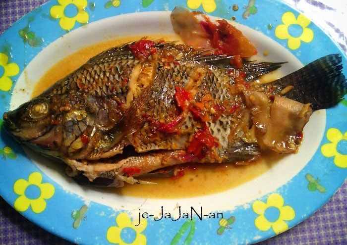 Brekecek ikan mujair Brekecek ikan mujair