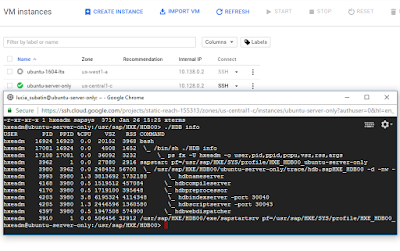 Five stars to SAP HANA Express Edition on Google Cloud Platform SAP HANA Tutorials, SAP HANA Materials, SAP HANA Certifications