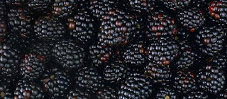 Soviet Cooking | Almost forgotten recipes | 1955 Edition Kissel from a strawberry, wild strawberry, raspberry, blackberry