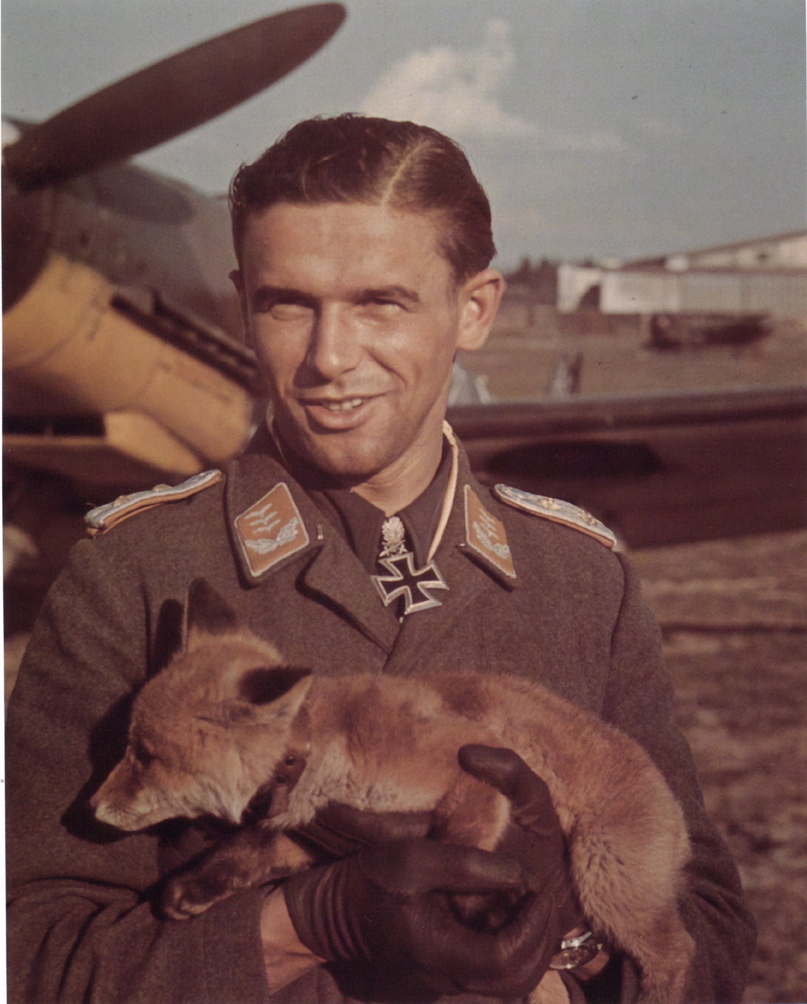 third reich color pictures animals third reich color third reich color pictures animals third reich color