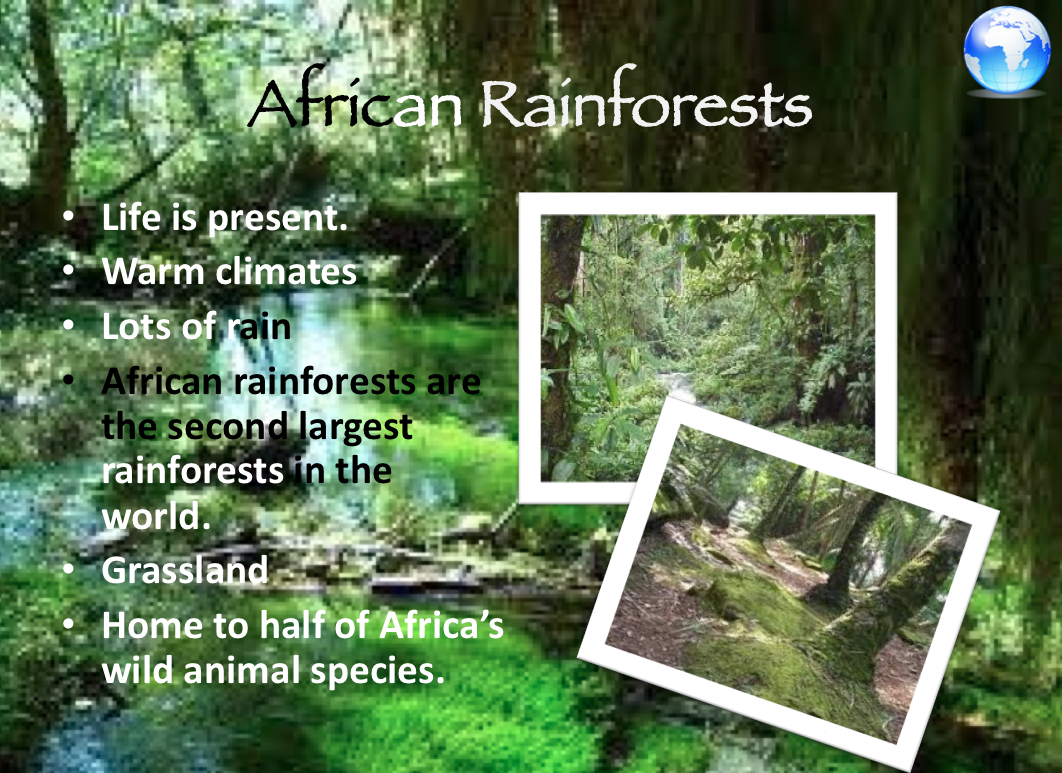 rainforest powerpoint