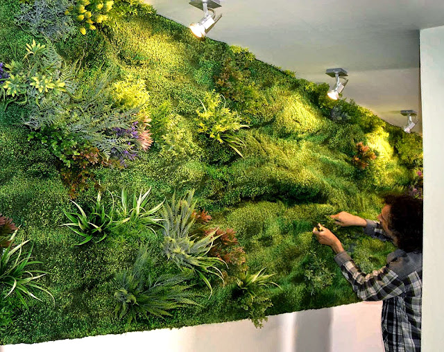 muro verde muro verde