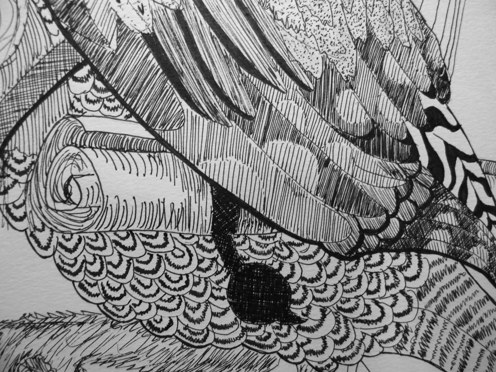 Line Drawing With Shading : Elp arts line shading extravaganza