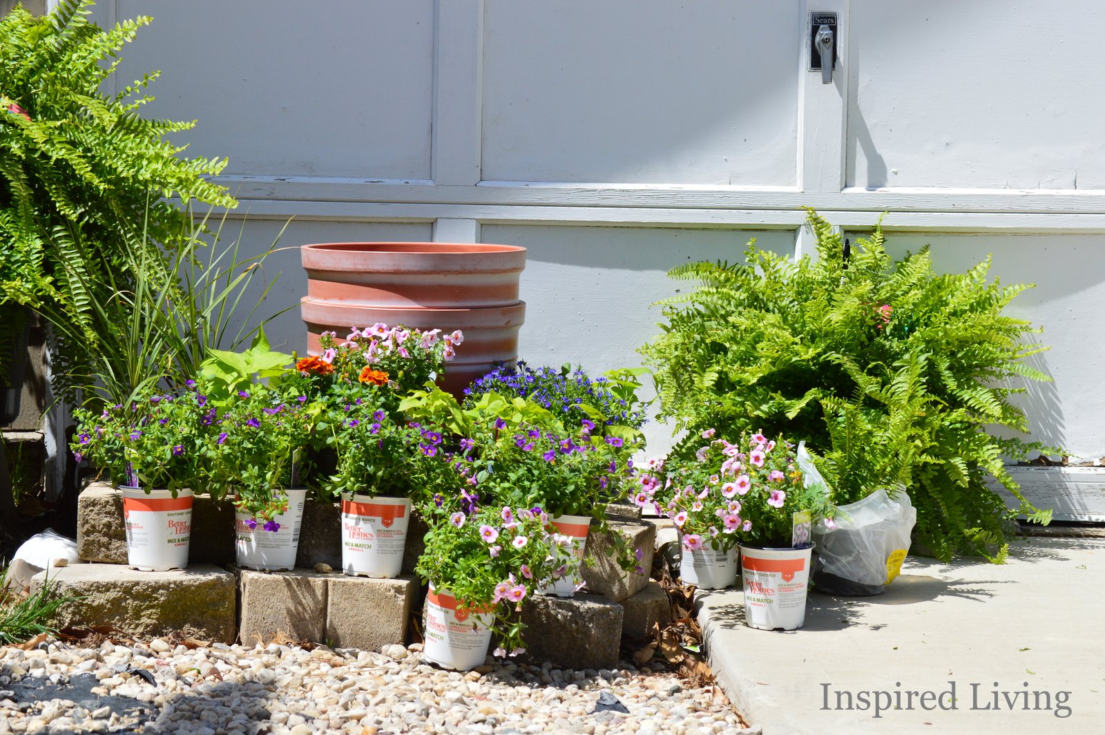 Inspired Living: Vertical Wall Garden How-To