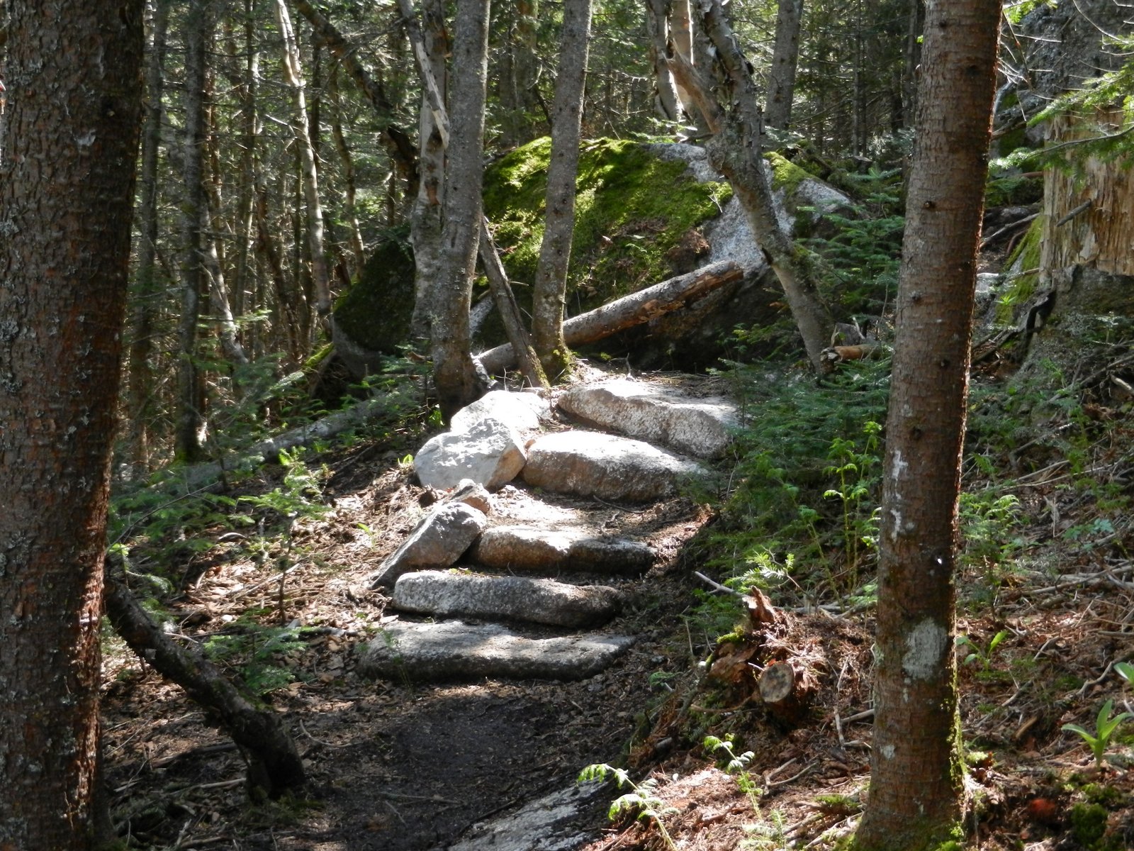 Off on Adventure Lyon Mountain 5/26/12