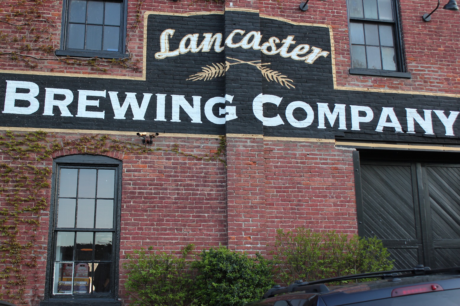 My Wonderful Time at Auntie Anne's Lille Punkin'