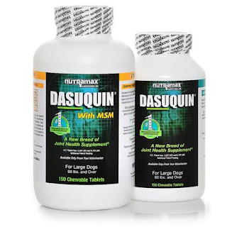 Nutramax Dasuquin Msm Large Dogs Nutramax Dasuquin Msm Large Dogs