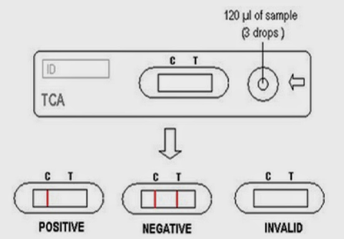 immunochromatography