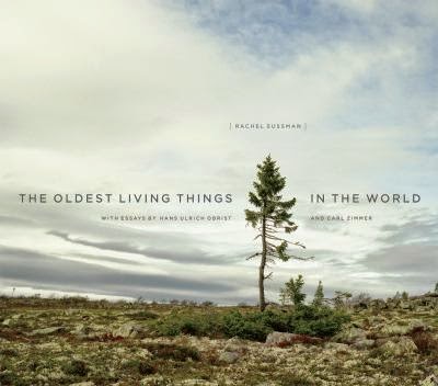 The oldest living things in the world http://obis.oberlin.edu/record=b4204670~S4