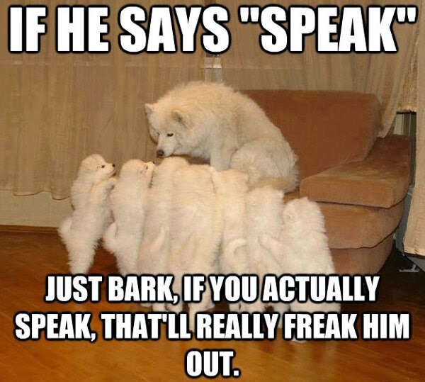 009-funny-captions-017-dogs-if-he-says-speak-just-bark.jpg