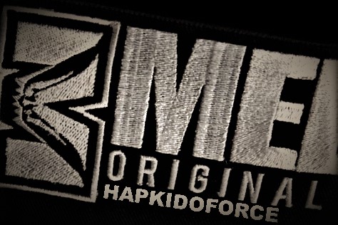 Hapkido Force Argentina