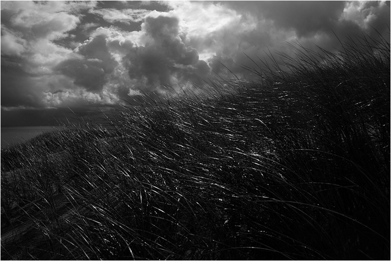 Emerging Photographers, Best Photo of the Day in Emphoka by Mindaugas Buivydas Emerging Photographers, Best Photo of the Day in Emphoka by Mindaugas Buivydas