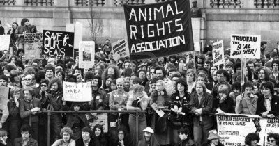 Sustainable Music: Animal Rights and the Sound Commons