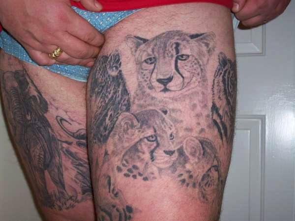 stunning big cat tattoo designs for men and girls tattoo stunning big cat tattoo designs for men and girls tattoo