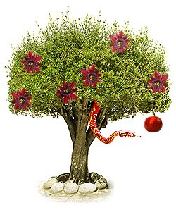 are fruit smoothies healthy fruit of the poisonous tree doctrine are fruit smoothies healthy fruit of the poisonous tree doctrine