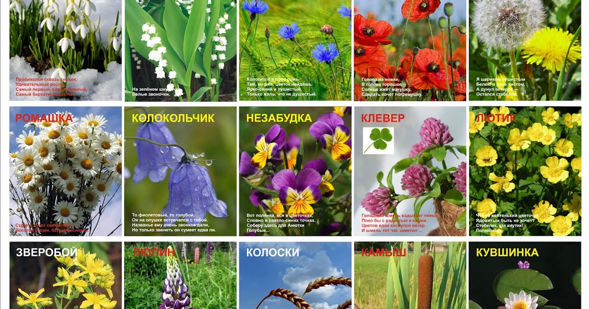Поделка для детей продам Поделка для детей продам
