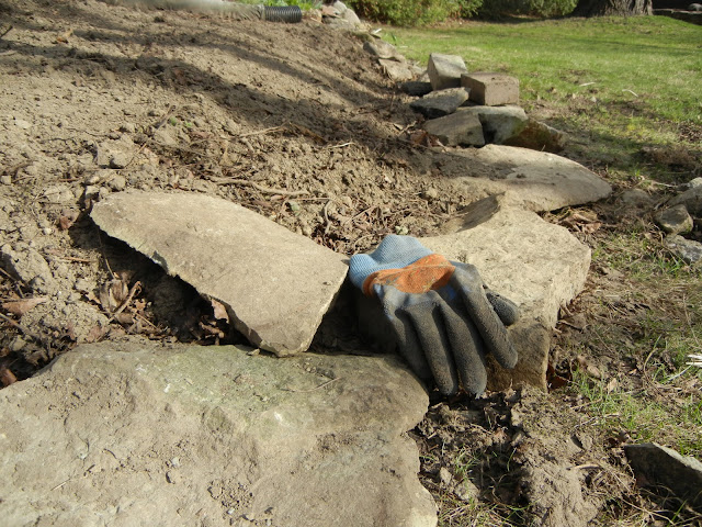 gloves & newly discovered garden rocks