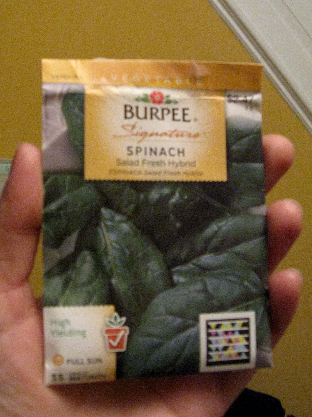 Suburban Gardeness Starting Spinach Indoors