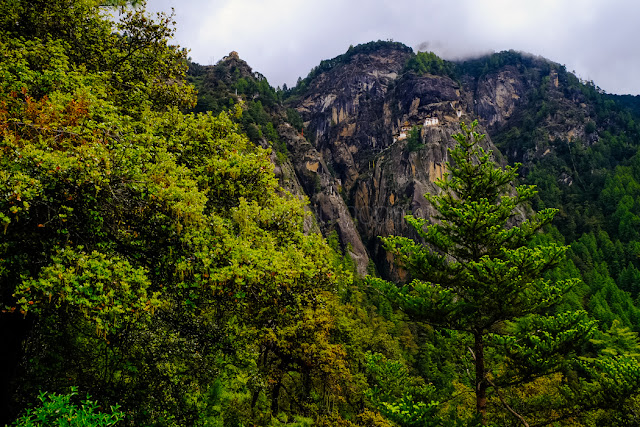 Paro Taktsang / Tiger's Nest Monastery Paro Taktsang / Tiger's Nest Monastery