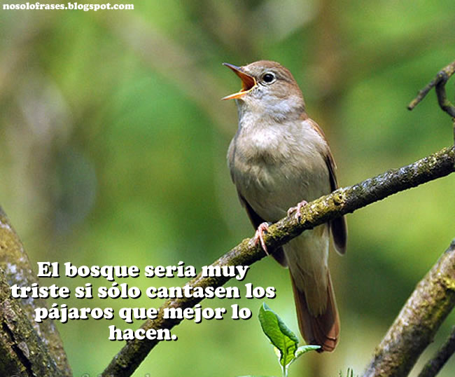 See the source image