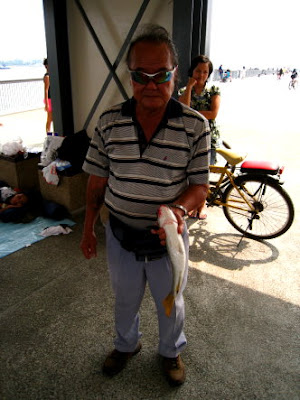 Squaretail Mullet also known as Chow Orh 草乌, 鯔魚 or Belanak Caught By Ah Cheng weighing 1.5kg plus at Woodland Jetty Fishing Hotspots was created to share with those who are interested in fishing on tips and type of fishes caught around Woodland Jetty Fishing Hotspots.