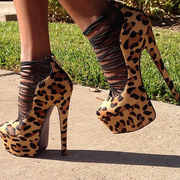 Free Soul SHOE LOVERS