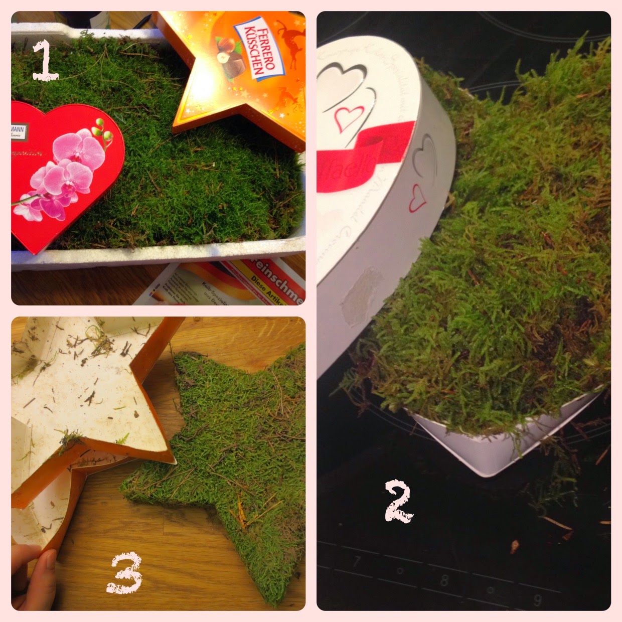 Moos an der Wand... 2 Moos an der Wand... 2