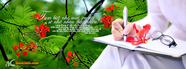 Ảnh bìa Facebook đẹp hoa phượng FB