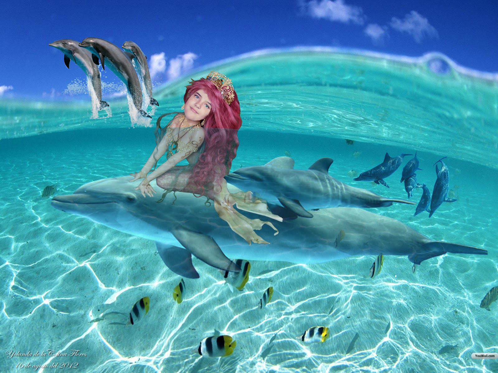 Fotos De Mares