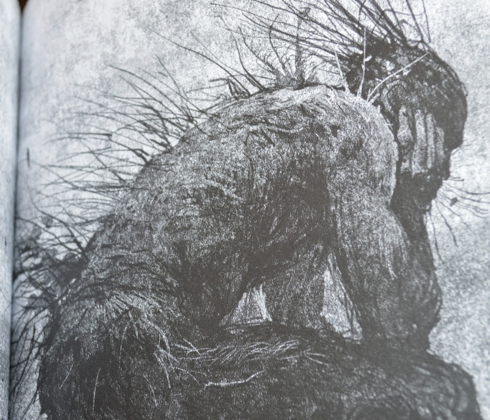 Book&aCuppa Patrick Ness, Siobhan Dowd & Jim Kay, A Monster Calls