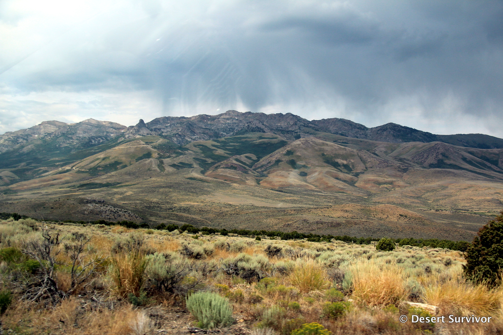 Desert Survivor Destination Angel Lake near Wells, Nevada