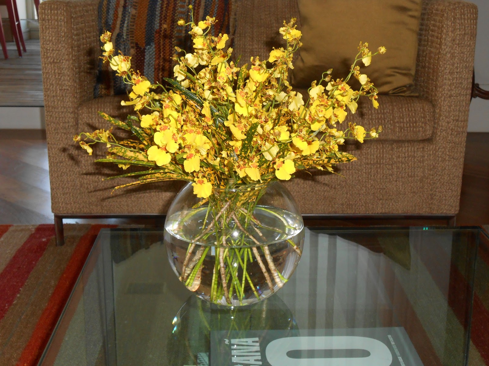 flores jardim guedala:Flor de Lis Flores: Manutenção em residência flores jardim guedala:Flor de Lis Flores: Manutenção em residência