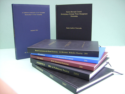 Examples of dissertation topics