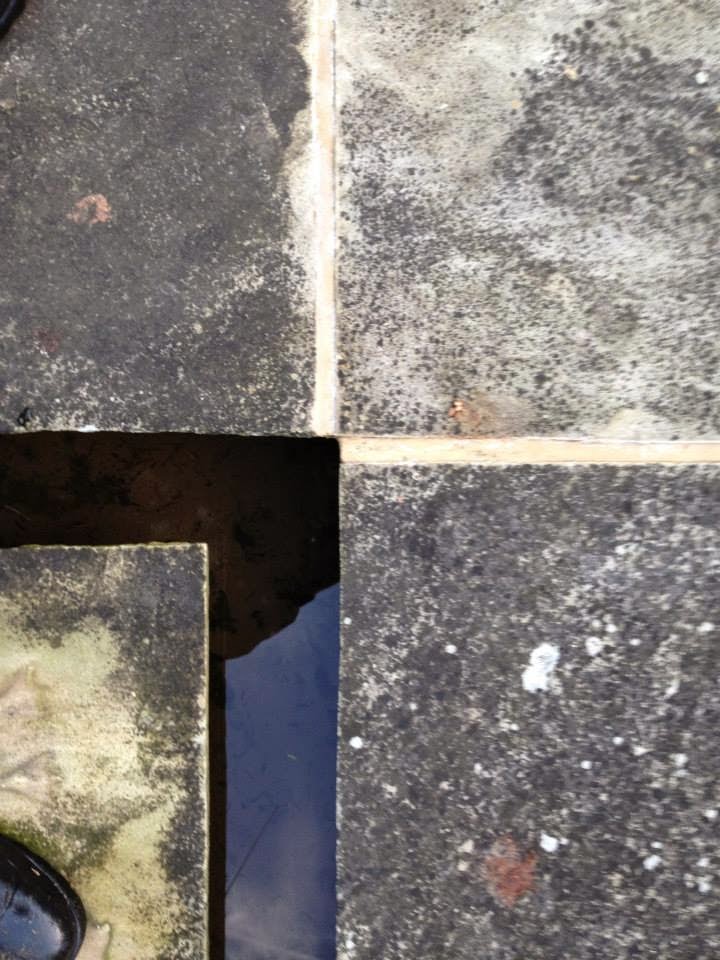 Barton Fields Patio and Garden Centre Lichen Remover For Paving