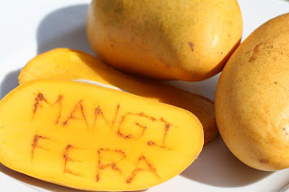 Mangifera - Mango